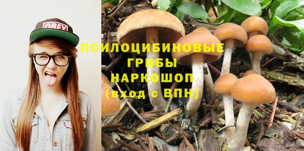 PSILOCYBIN Балахна