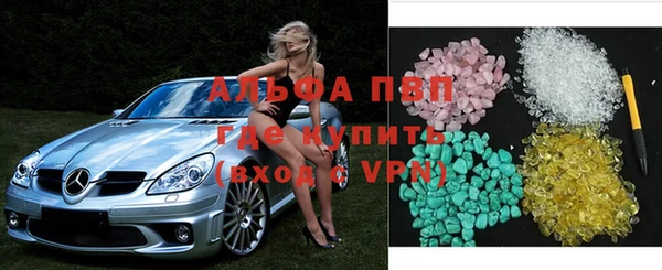 PSILOCYBIN Балахна