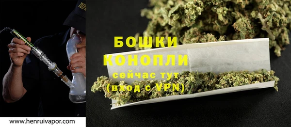 PSILOCYBIN Балахна